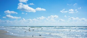 Beach View Newly remodel 1 bedroom condo in N Padre Island, Corpus Christi TX