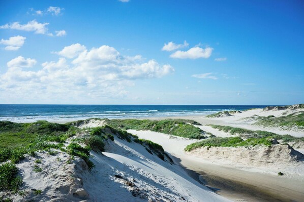 Playa