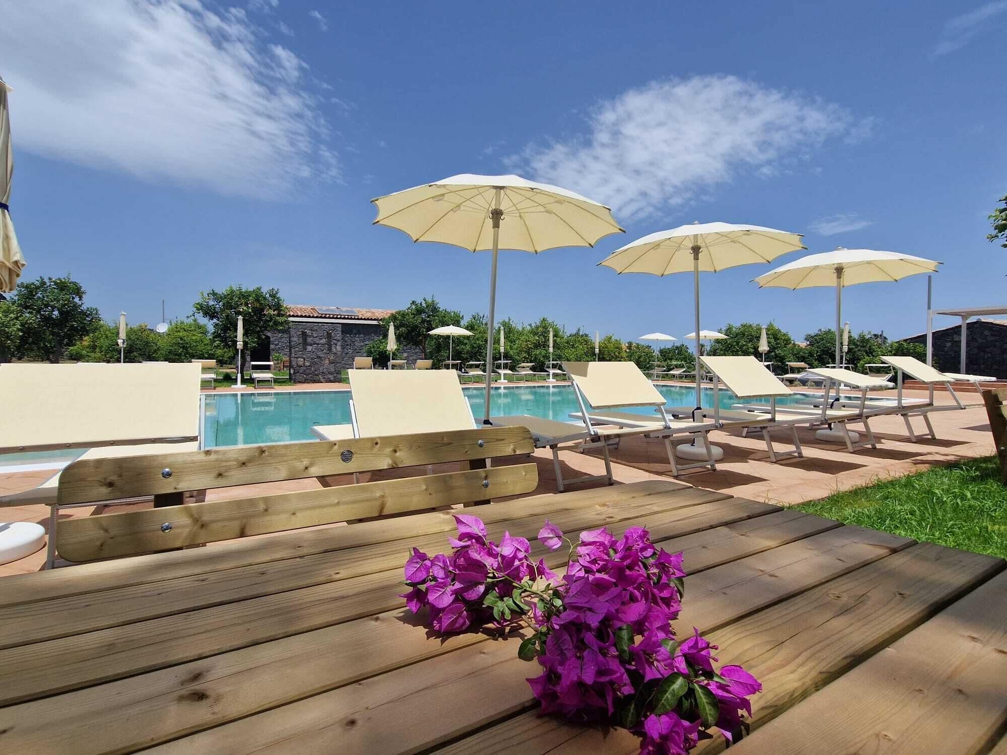 A poolside area with lounge chairs and umbrellas, a wooden bench with flowers, and a clear blue sky.