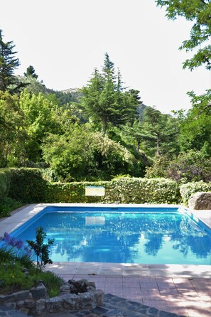 Une piscine rectangulaire entourée d’une végétation luxuriante et de chemins en pierre.