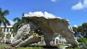 Terrain de l’hébergement