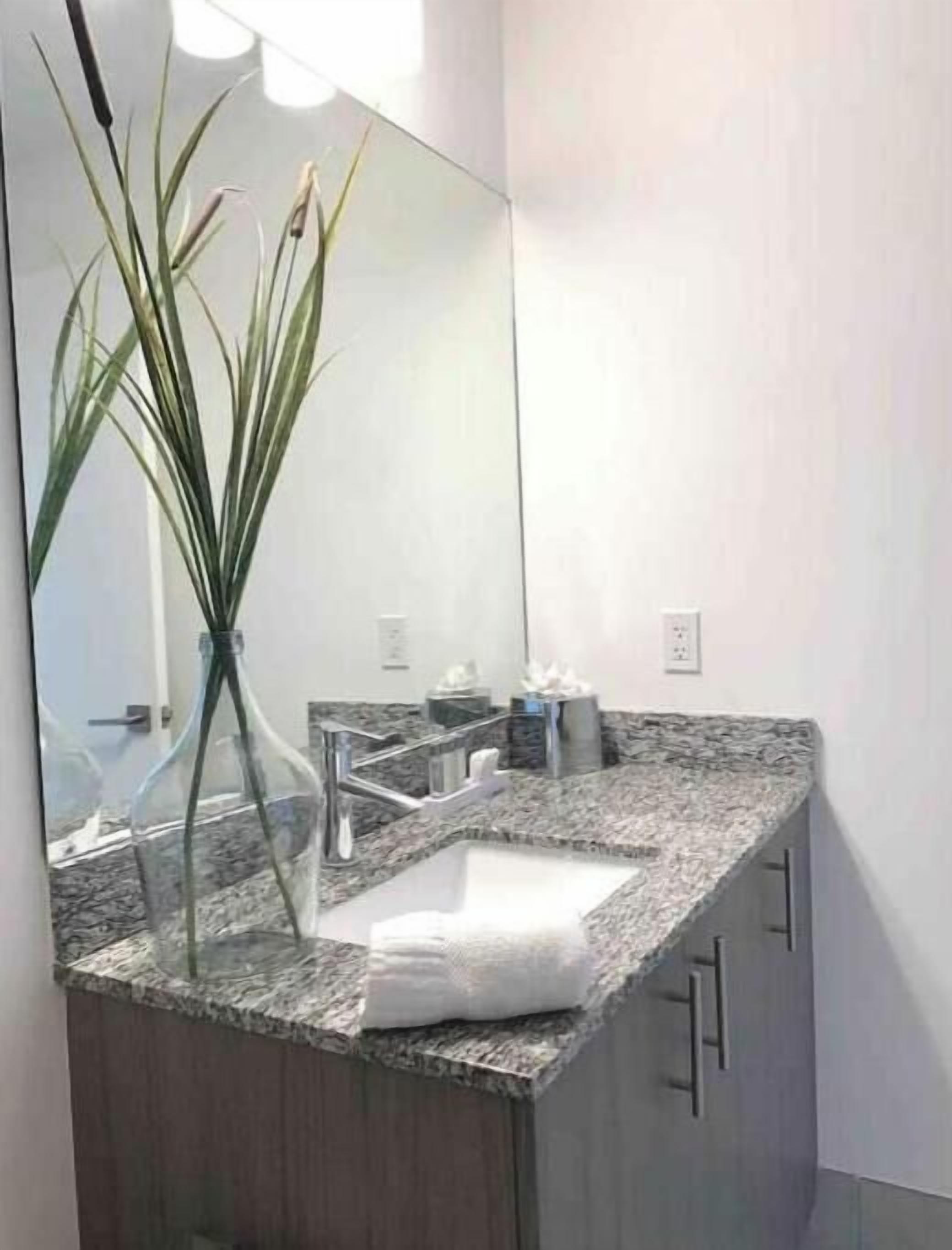 Une salle de bain moderne avec un comptoir en granit, un grand miroir, un lavabo blanc et un vase contenant des plantes vertes.