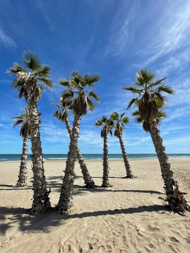 Boutique H8 30min.from VALENCIA near Beach, SPA   
Roof Terrace, Infinity-Pool