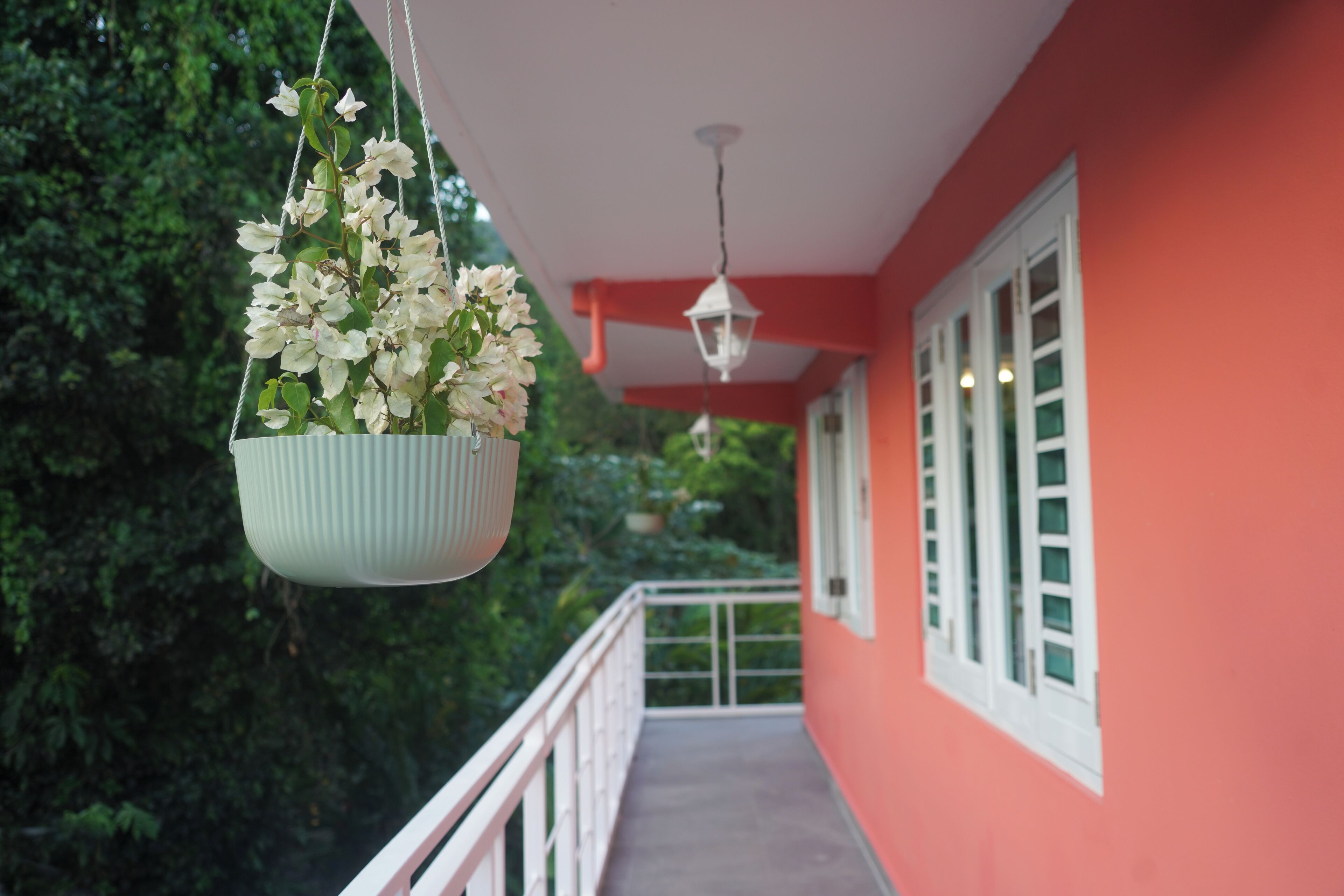 A balcony with a hanging flower pot and a railing.