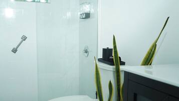 Un baño moderno con cabina de ducha de vidrio, inodoro y zona de lavamanos con una planta en maceta.