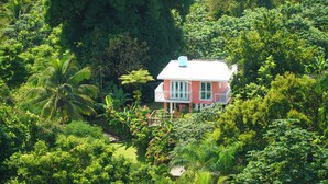 A pink house surrounded by lush greenery. - El Yunque Rainforest (Naguabo)