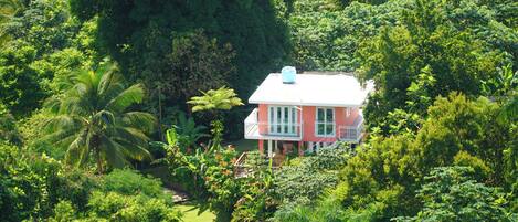 A pink house surrounded by lush greenery.