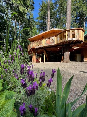 Terrain de l’hébergement 