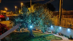 A nighttime outdoor area with a tree illuminated by lights, a paved pathway, and a railing.