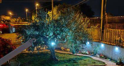 Vacation Home For Families Torre Annunziata Scavi Oplontis, Pompeia, Naples