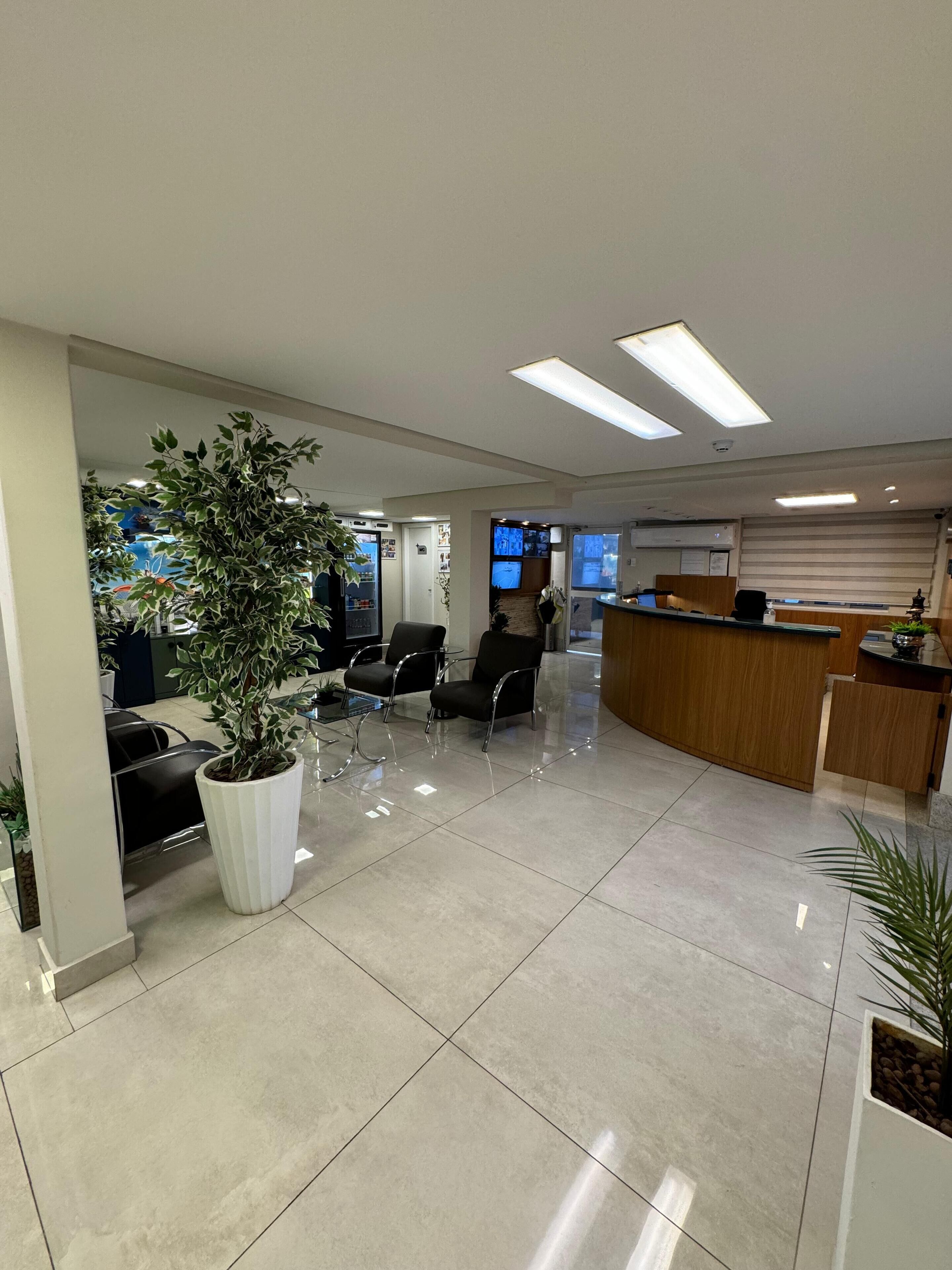 A modern reception area with a wooden reception desk, black chairs, and potted plants.