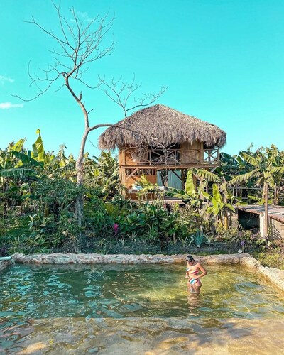 Tree house in the Dominican jungle 