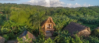 Tree house in the Dominican jungle