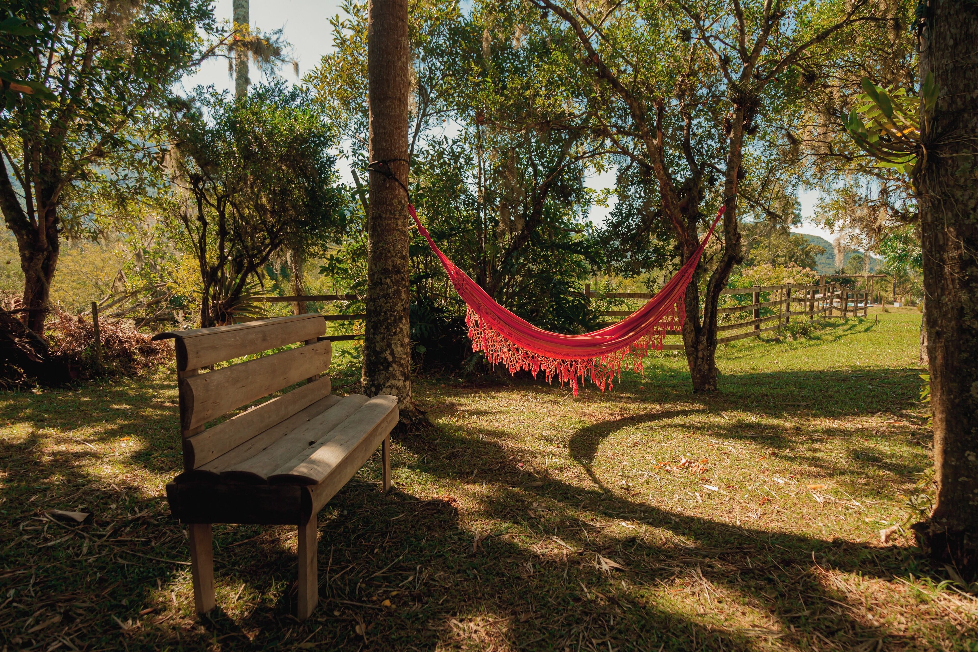 A wooden bench and a red hammock in a park with trees and a wooden fence in the background.