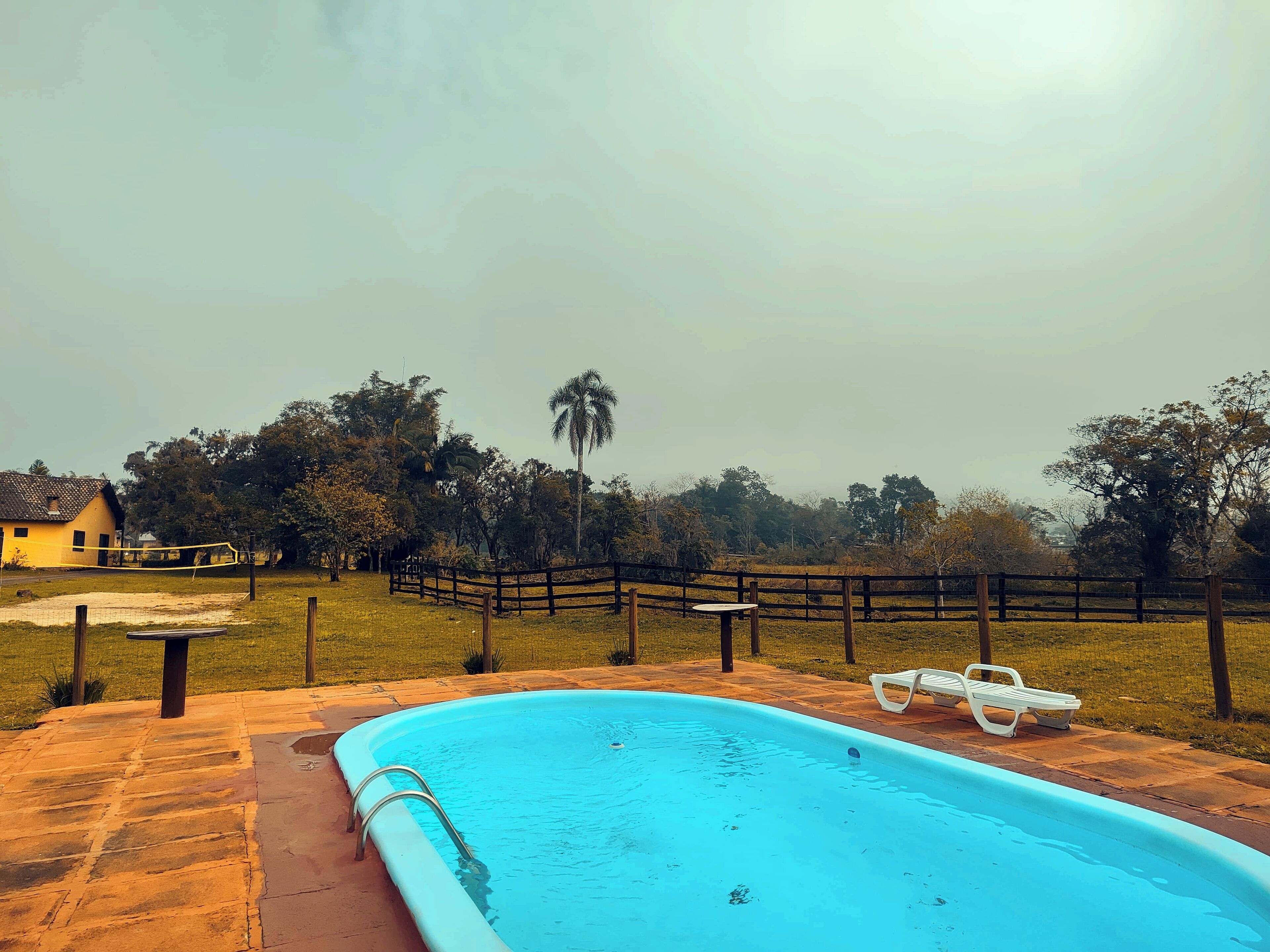 A swimming pool with a wooden deck, a fence, and a palm tree in the background.