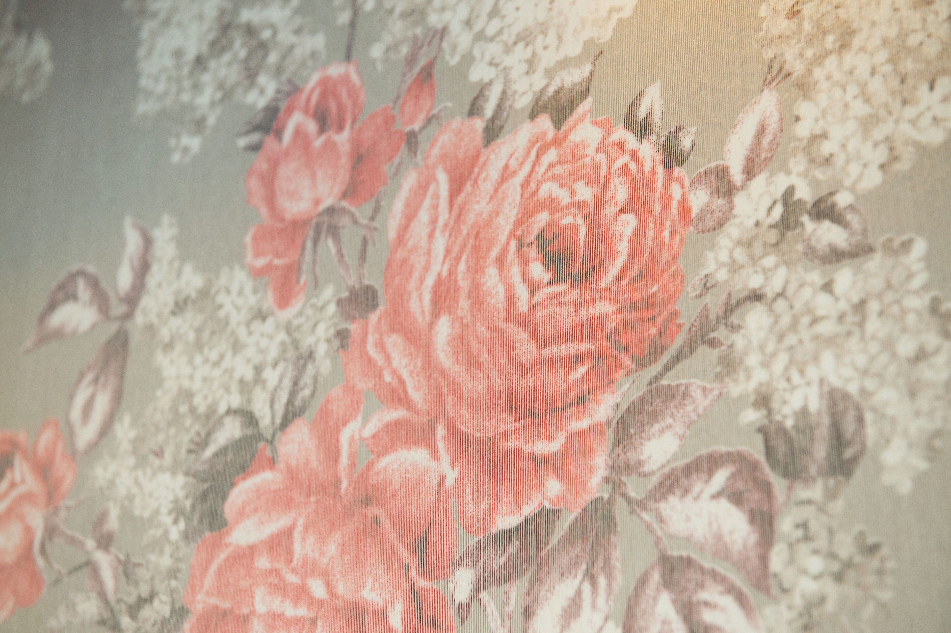 A close-up of a floral wallpaper with a detailed rose pattern.