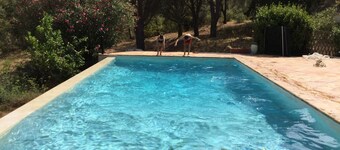 MAISON EN PLEINE NATURE AVEC PISCINE