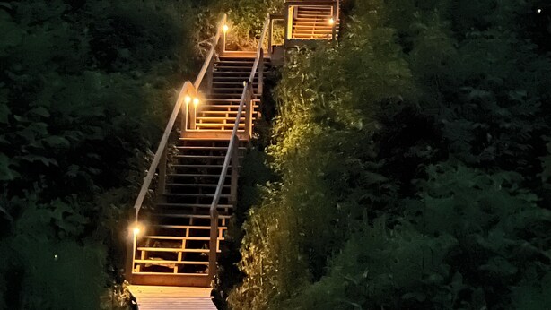 Eine Holztreppe führt zu einem Haus mit großen Fenstern, umgeben von üppiger Vegetation.