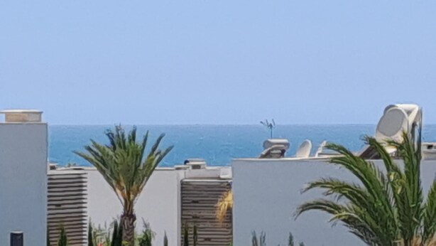 Una terraza en la azotea con vistas al mar, palmeras y sillones de descanso.