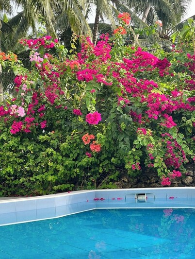 D ARC Leisure Home by the Sea