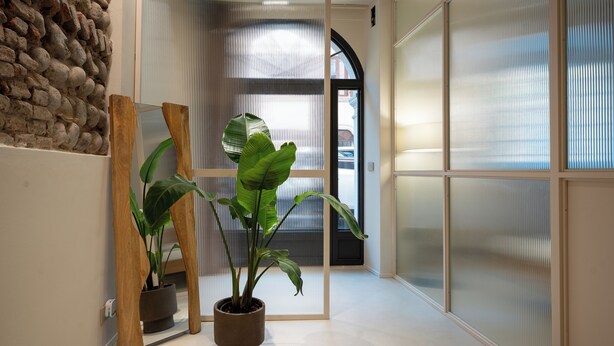A hallway with a potted plant, a wooden structure, and a sliding door leading to another room. - Suite Veronetta (Verona)