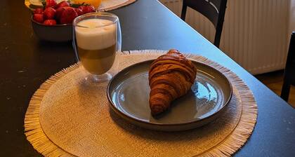 Elegant Studio in the Historic Center, AC, Quiet Area