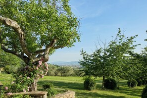 Property grounds - La Sentinella. Chalet on the hills of Assisi with swimming pool and nature park (Assisi)