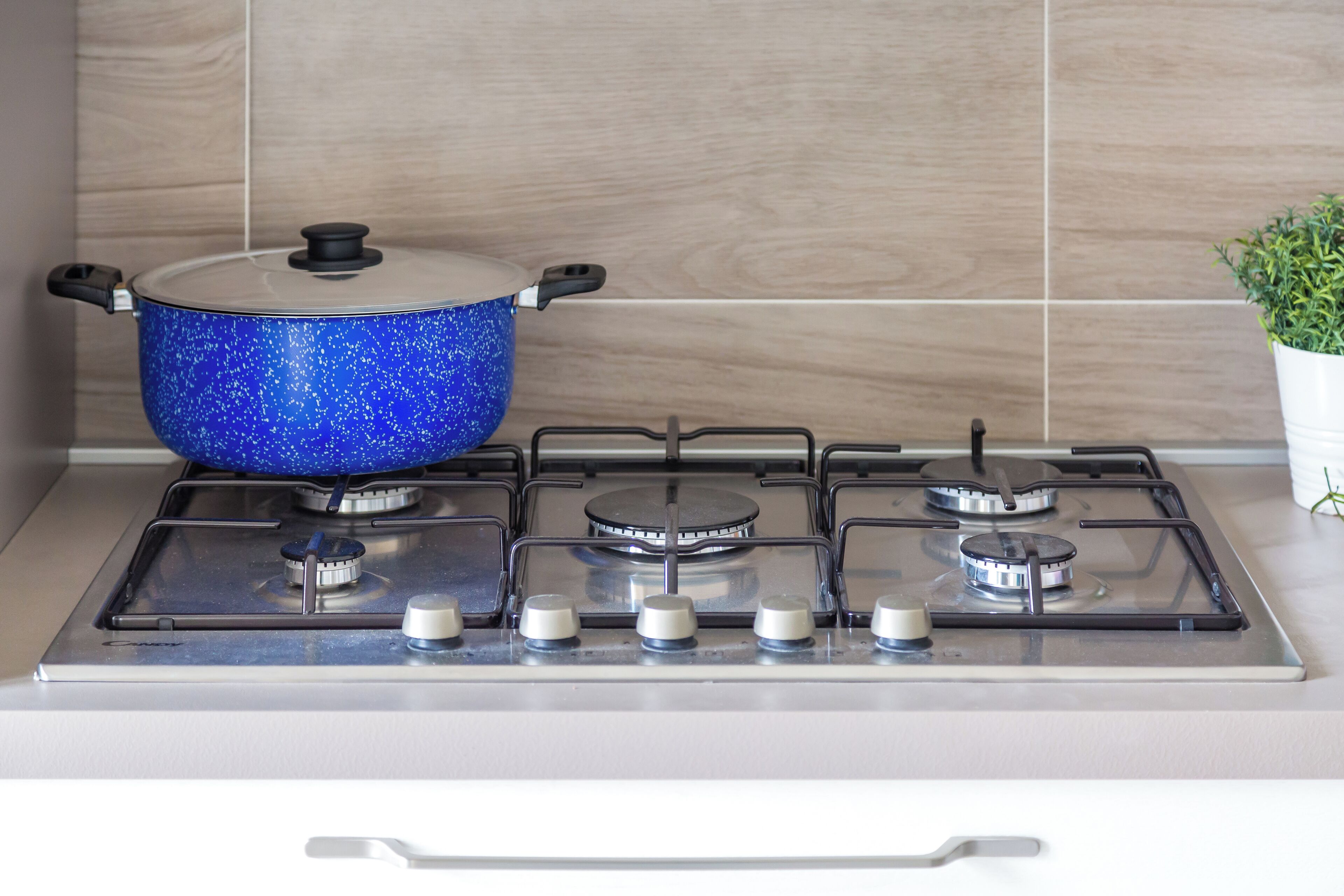 Una cocina con estufa a gas, una olla azul sobre la estufa y una planta en maceta sobre la encimera.