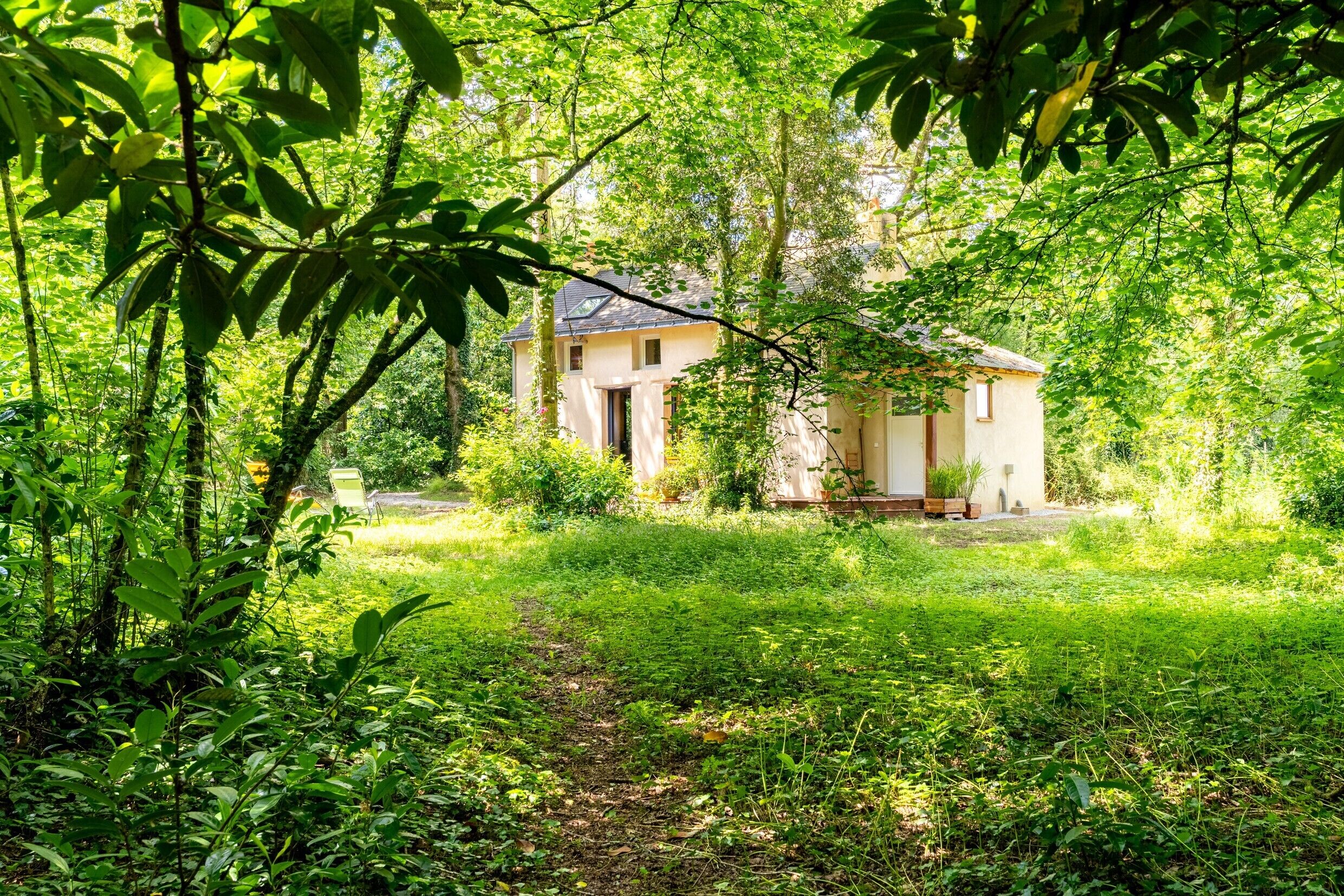 Una casa rodeada de abundante vegetación, con un sendero visible que lleva a la entrada.