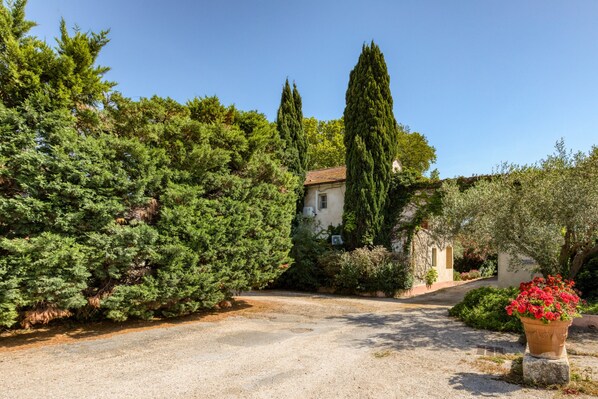 A gravel driveway leading to a building surrounded by evergreen trees and a potted plant with red flowers.
