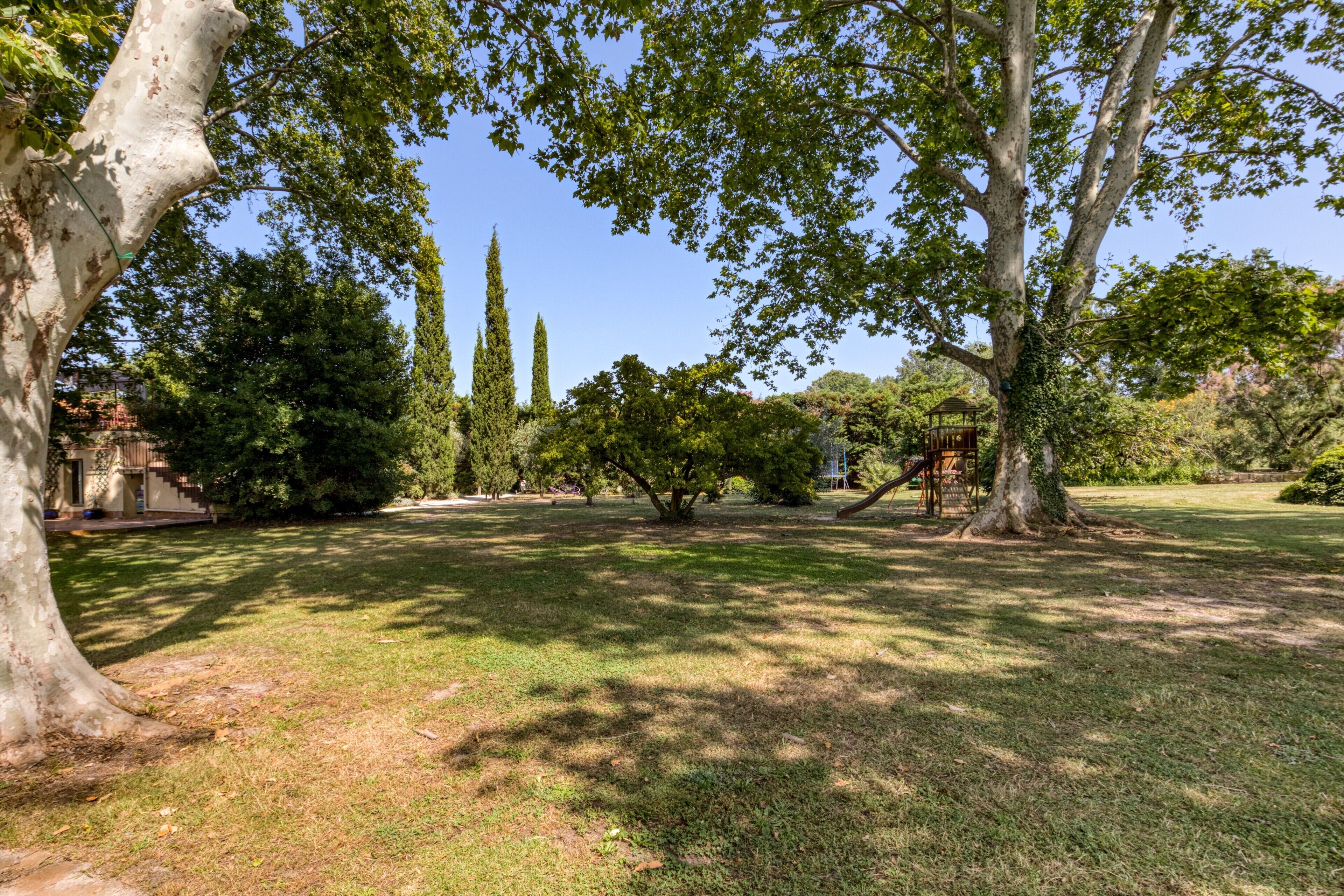 A park with various trees, a playground, and a clear sky.
