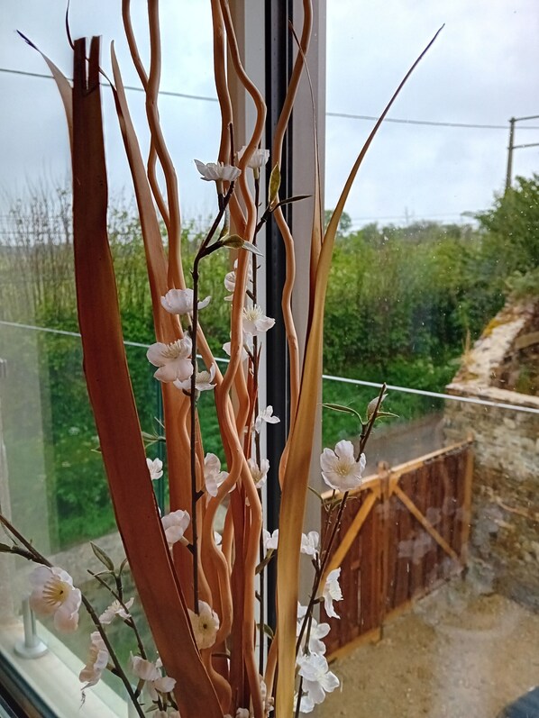 A view through a window with a decorative plant arrangement featuring white flowers and long, slender branches.