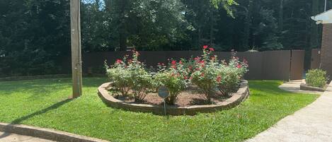 Terrein van de accommodatie