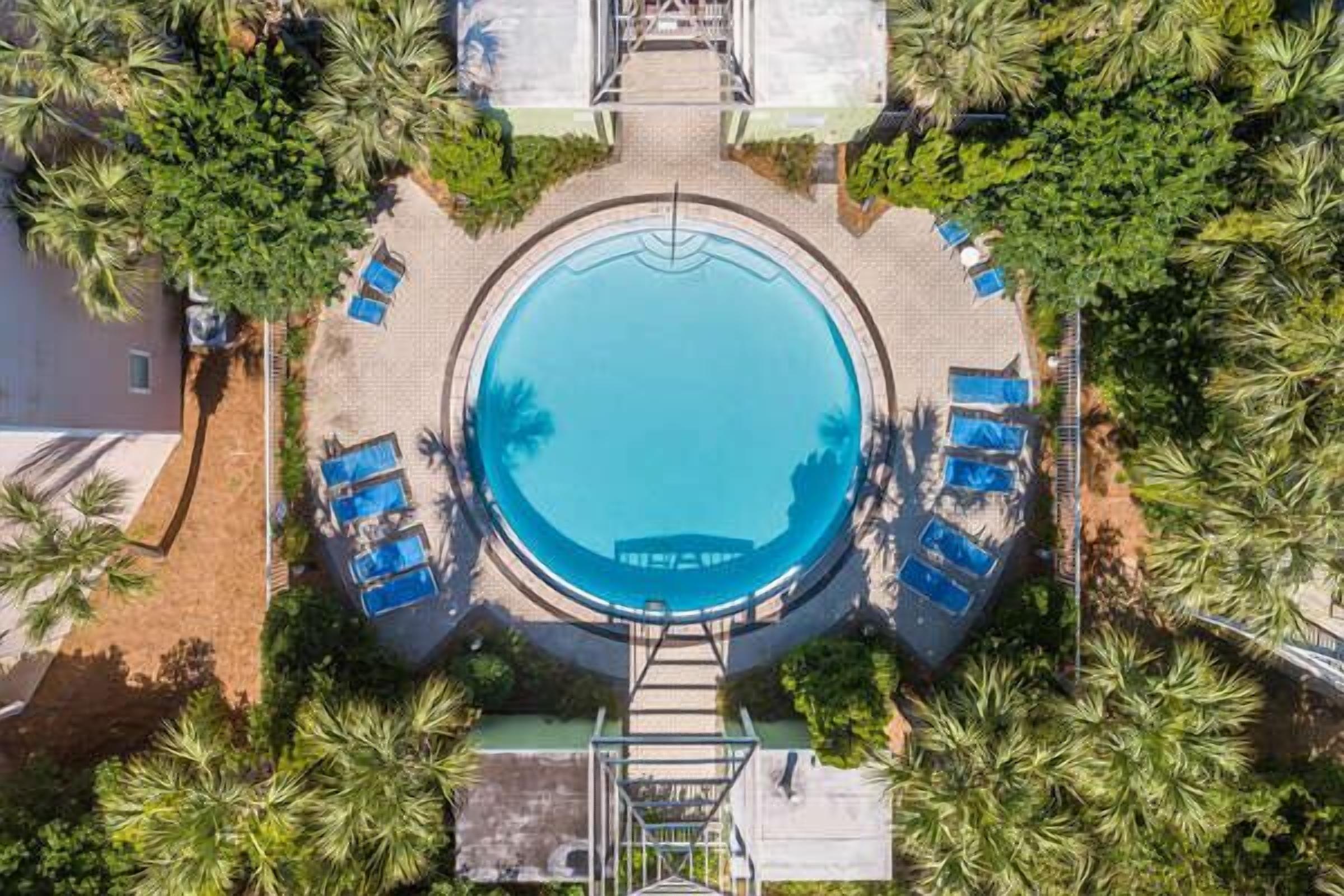An aerial view of a circular swimming pool surrounded by palm trees and lounge chairs.