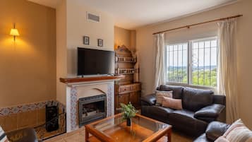 TV, fireplace, ping pong