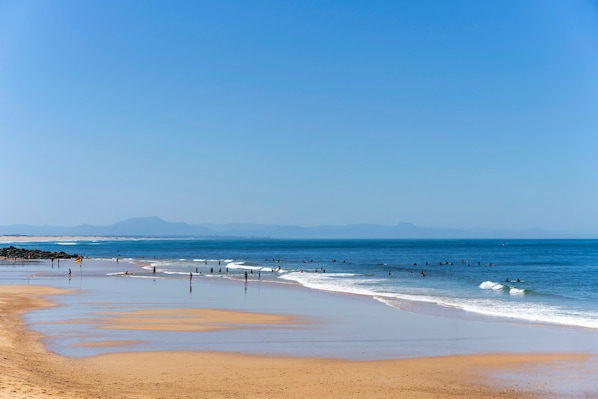 Une plage où l’on voit des gens se baigner et se promener le long du rivage, un ciel dégagé et des montagnes à l’horizon.