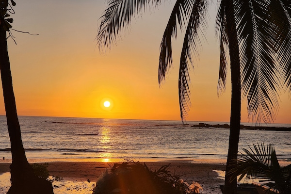 Beach nearby, black sand