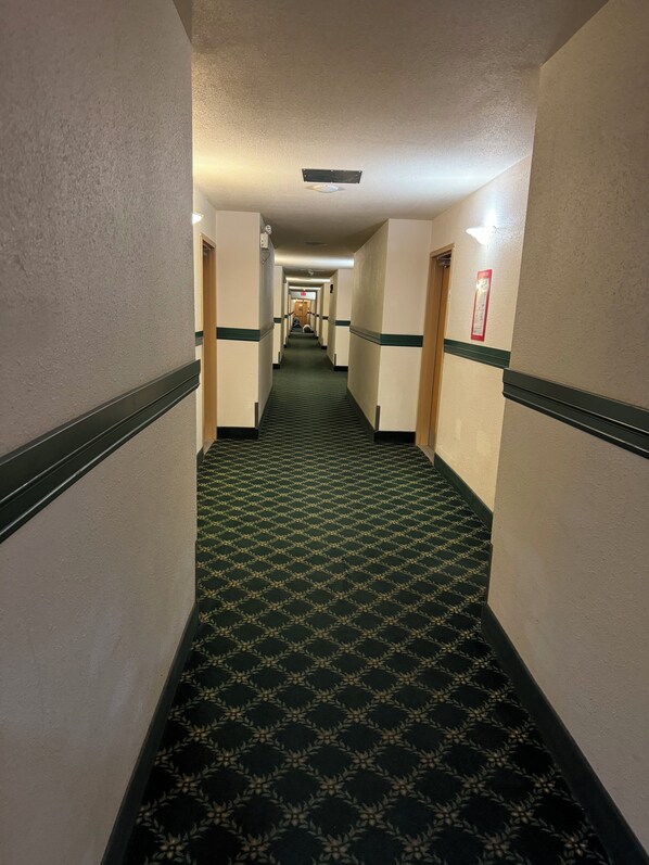 A hotel hallway with a patterned carpet, cream walls, and green trim.