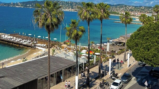 A coastal view with palm trees, a beach, and a pier with lounge chairs.