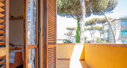 Tirrenia Fronte Mare