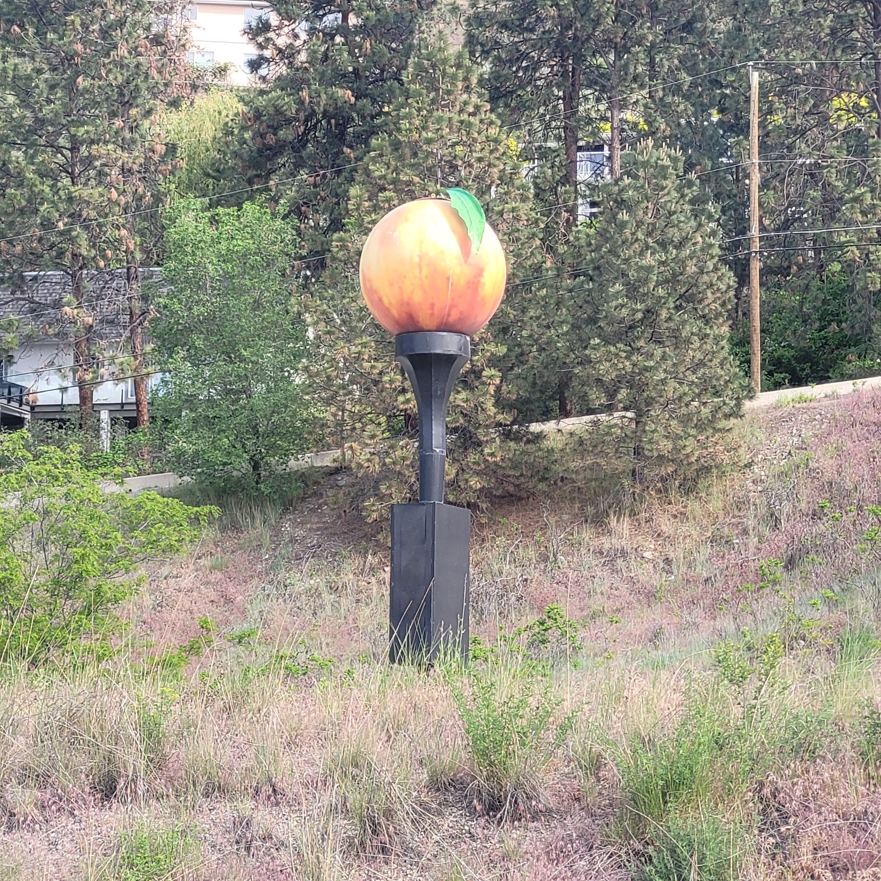 Um lampião alto e preto com uma cúpula esférica laranja, cercado por grama seca e árvores.