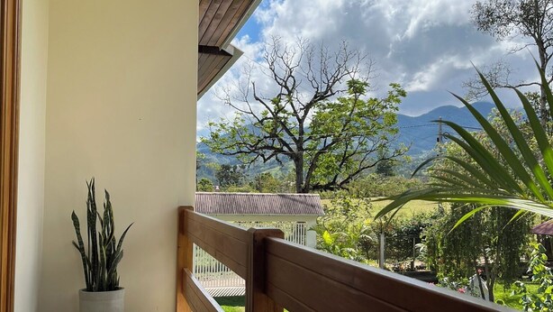 A balcony with a wooden railing, a potted plant, and a view of a grassy area with trees and mountains in the background. - Casa Oxapampa (Oxapampa)