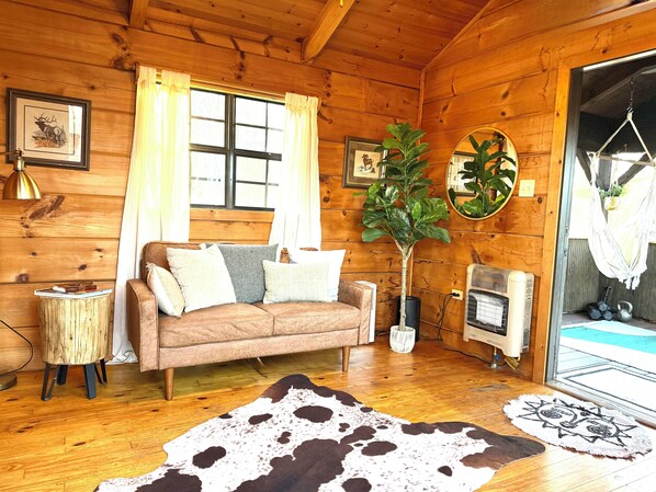 Smart TV, DVD player, books, music library