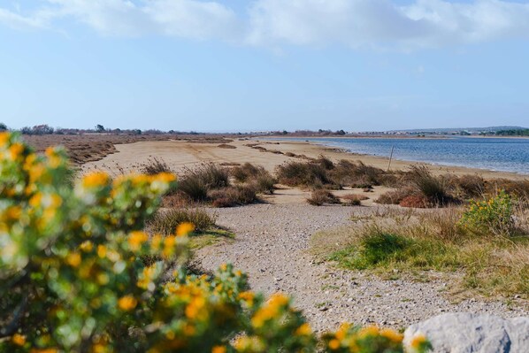 Plage à proximité