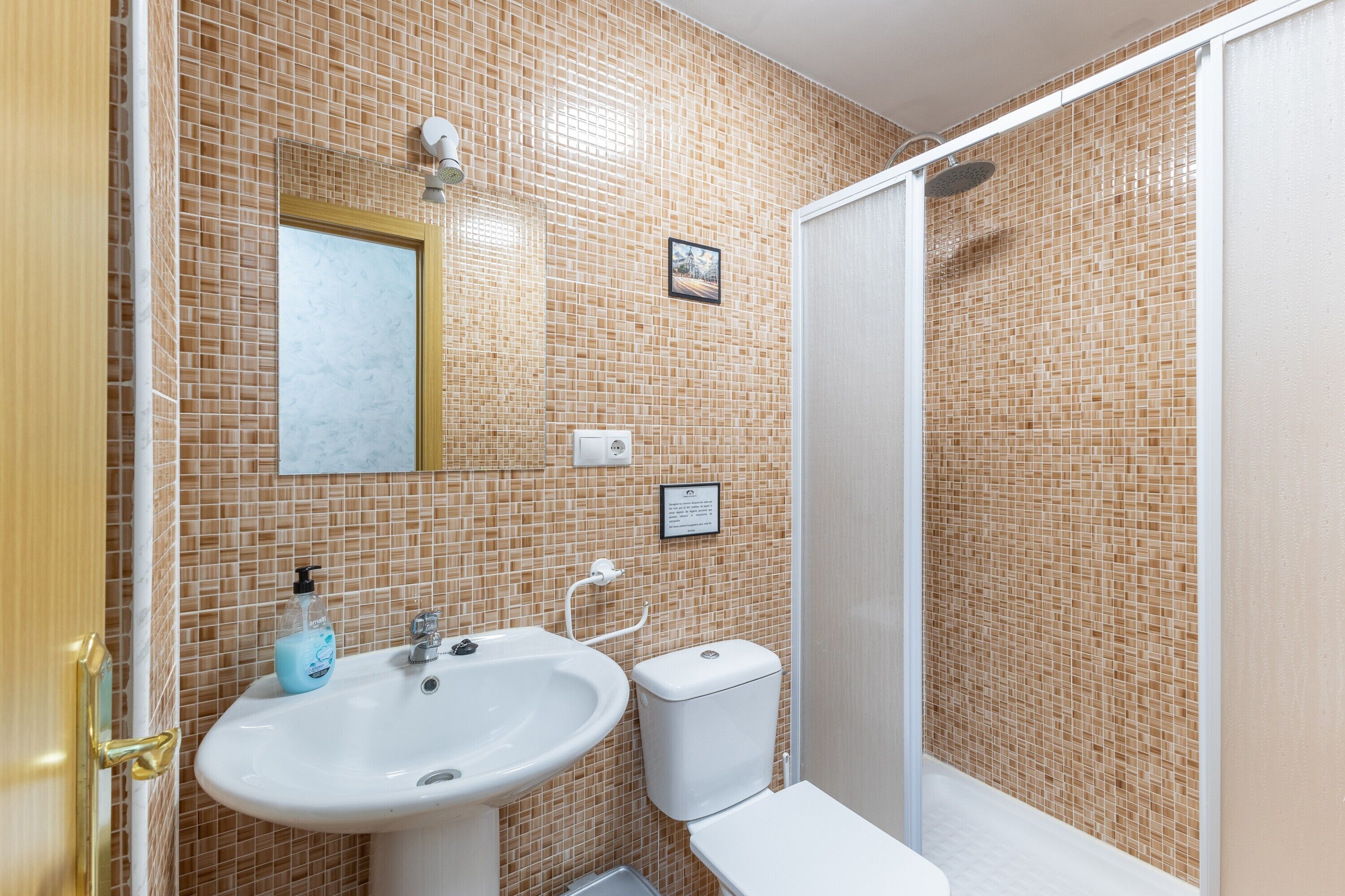 Une salle de bain avec un lavabo, des toilettes et une douche.