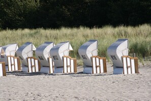 Des chaises de plage, chacune portant un numéro, sont disposées en rangée sur le sable.