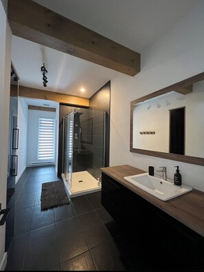 Shower, towels, toilet paper