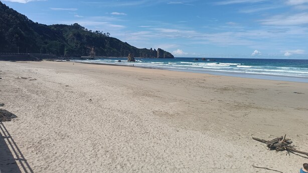 Una playa con cielo despejado, mar tranquilo y un promontorio cubierto de bosque.