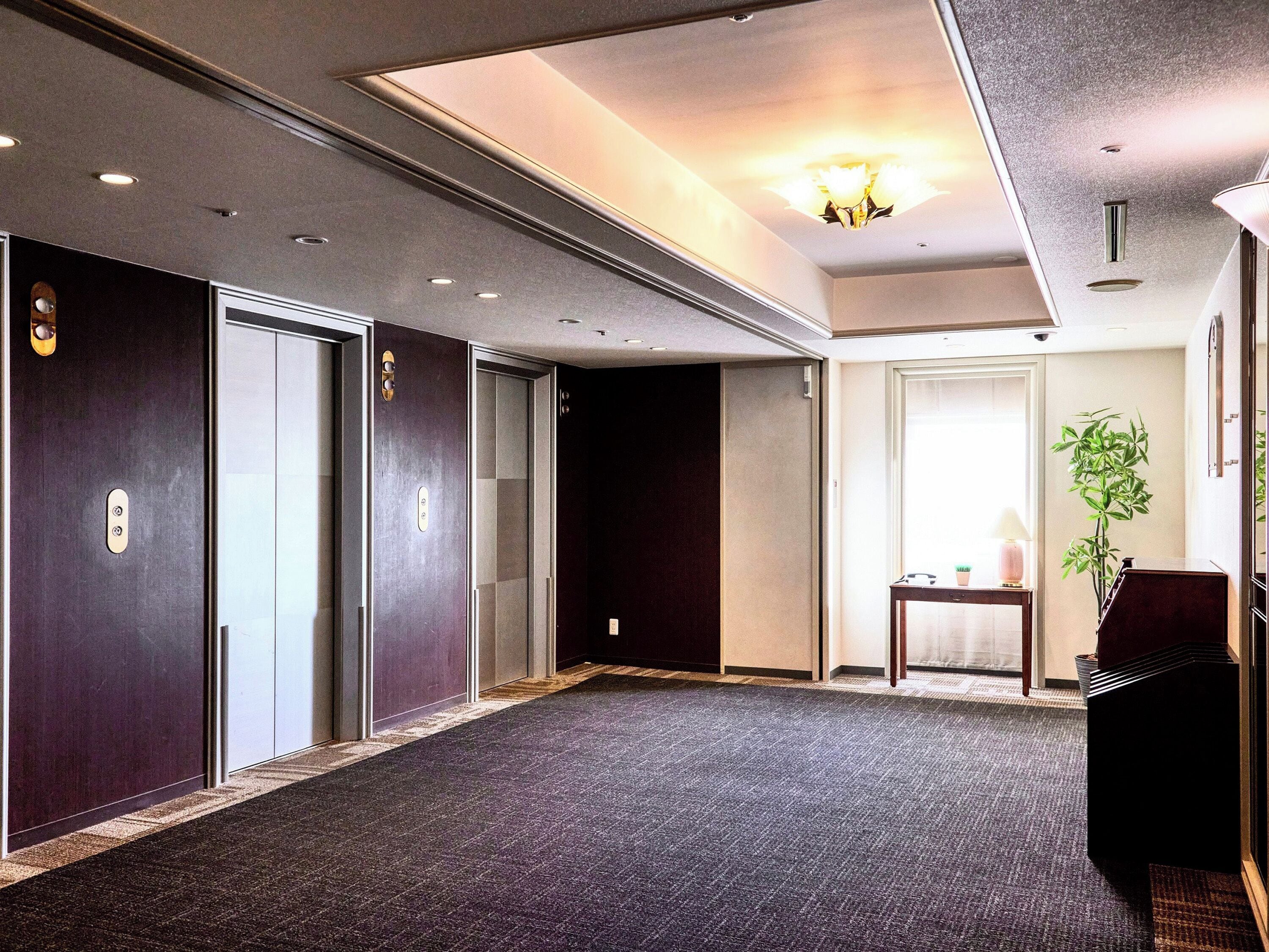 A hotel corridor with a carpeted floor, a piano, and a potted plant.