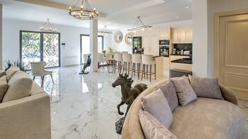 TV, fireplace, ping pong